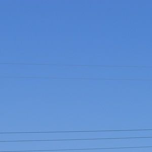 Meet your Posher, Sophia